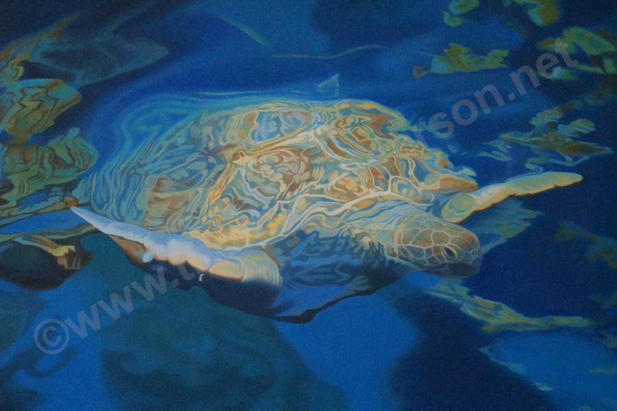 all his sea dreams come to me